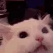 notpleasedcurrently