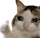 imsadbutok3