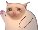 sadcat2