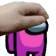 pet_the_pink