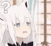 FbkConfused
