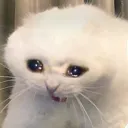sad_floof Discord Emoji