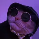 cat_ast