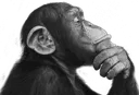 UDUmonkeythink Discord Emoji