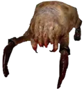 headcrab headcrab