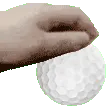 PetGolfBall