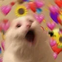 love2 love2