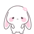 swabbitsadie