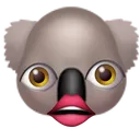 6KoalaUmm