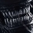 xeno xeno