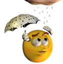 intjrain