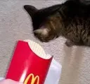 nochip nochip