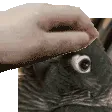 petpet