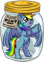 ponyjar