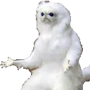 7_wtf 7_wtf