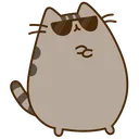 cool_pusheen