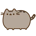 pusheen