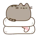 pusheen_clothes_sleep