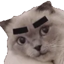 loeyaBrows loeyaBrows