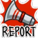 report