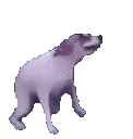 0doggy