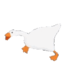 gooserun