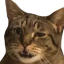 wat