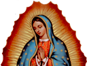 guadalupe Discord emoji