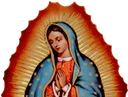 guadalupe