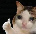catoof catoof
