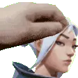 1PetTheJett