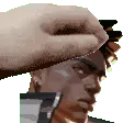 1PetThePhoenix