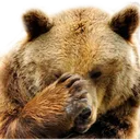 Facepaw