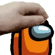 pettheorange