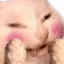 catBlushClose