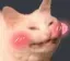 catBlush