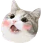 catExcited