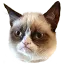 catGrump