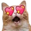 catLove