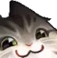 catOwO