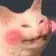 catBlush catBlush