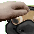 bishpatextreme