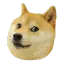 Doge