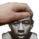 tylerpet Discord emoji