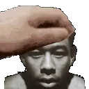 tylerpet tylerpet