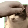 Rory_pat