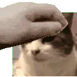 rorypat