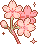 rosesflowpink