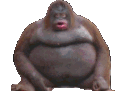 stinkystinky
