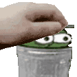 dylantrash Discord emoji